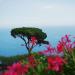 Ravello