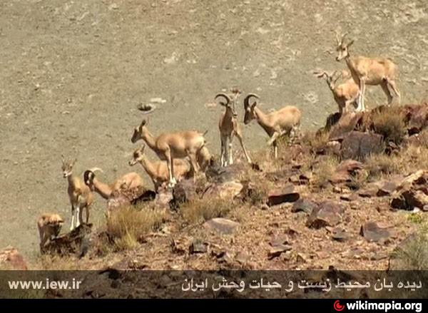 http://photos.wikimapia.org/p/00/02/78/19/86_big.jpg