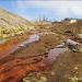 Dead land in the valley of the Sak-Elga river