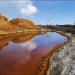 Dead land in the valley of the Sak-Elga river