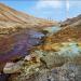 Dead land in the valley of the Sak-Elga river