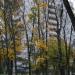 ул. 50 лет Октября, 1а в городе Красногорск