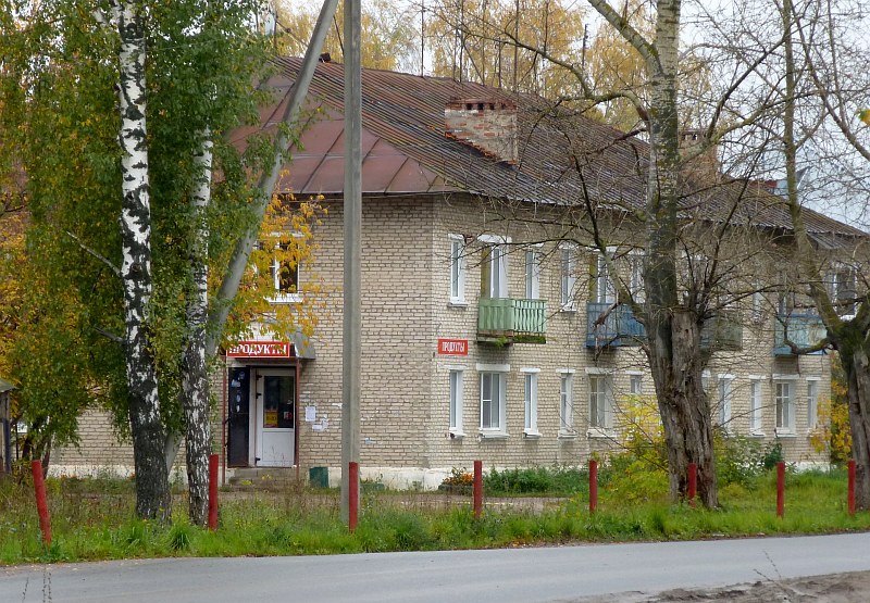 айболит ул горького 29 гороховец фото