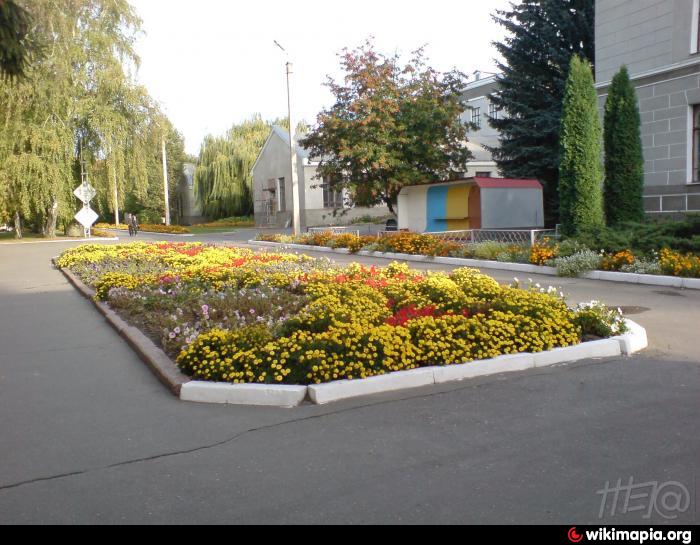Клумба Женская Одежда
