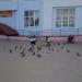 Голубиная площадь (ru) in Mahilioŭ (Mogilev) city