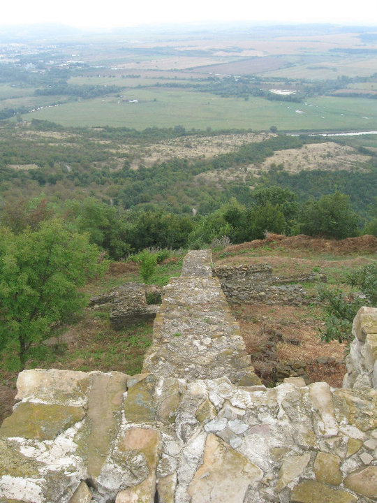 Citadel
