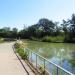 Canal du Midi, bief de Gardouch