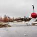 Spoonbridge and Cherry in Minneapolis, Minnesota city