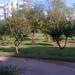 Park (tr) in Antalya Metropolitan Municipality city