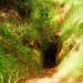 Chinese Diggings in Folsom, California city