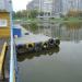 Водосброс в коллектор реки Водянки из пруда в городе Москва
