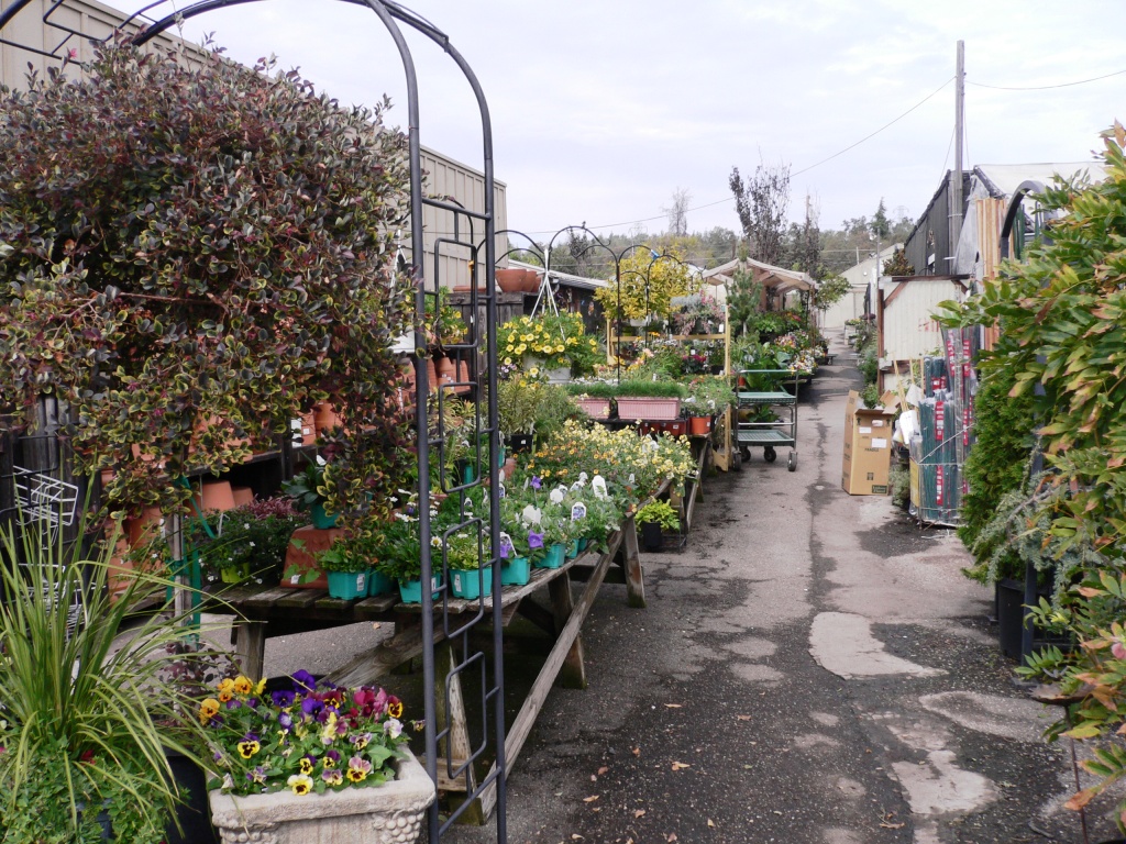 Eisley Nursery - Auburn, California