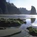 Olympic National Park, Wilderness Coast