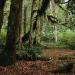 Olympic National Park, Wilderness Coast