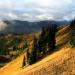 Olympic National Park, Wilderness Coast