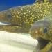 Underwater World in Pattaya City city