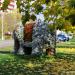 Скульптурная клумба «Слон» в городе Раменское