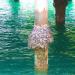 Hat Tawaen Pier in Pattaya City city
