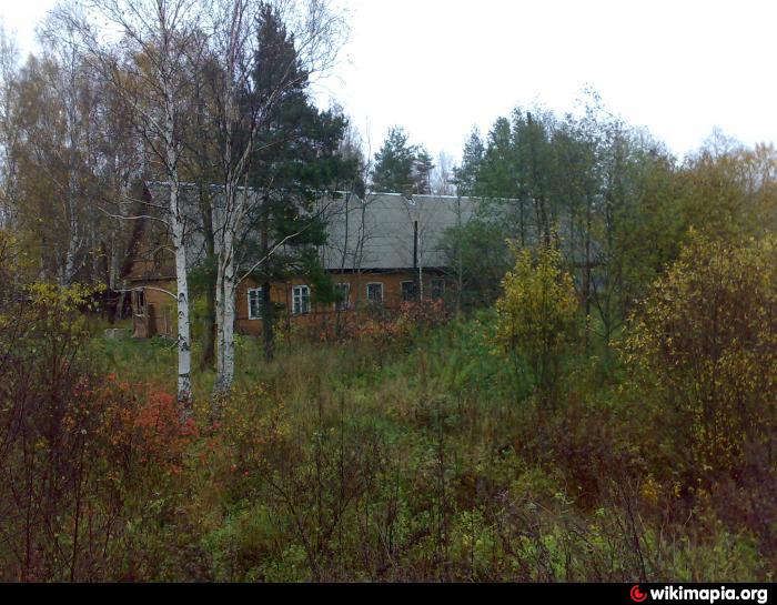 Барак - Новинка