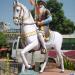 Hari singh Nalwa on His Horse (Chowk)