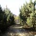 Тропа здоровья «Горизонт» (ru) in Alushta city