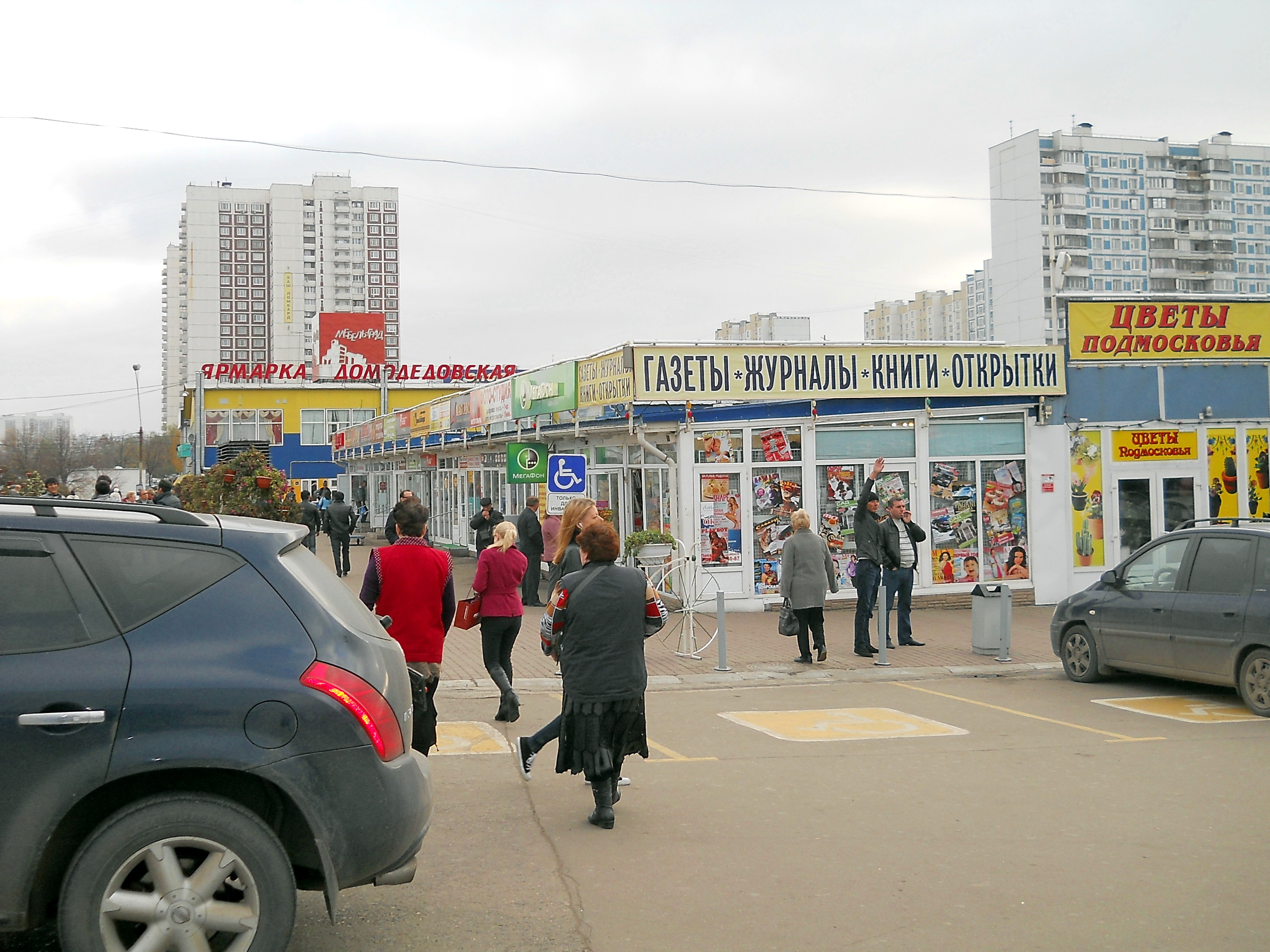 москва метро домодедовская