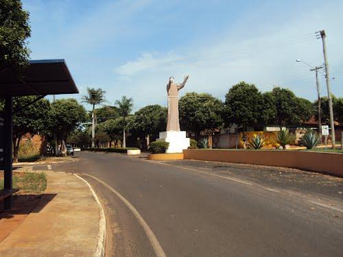 Rubiácea São Paulo fonte: photos.wikimapia.org