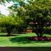 Parque Paulista Memorial Cemetery