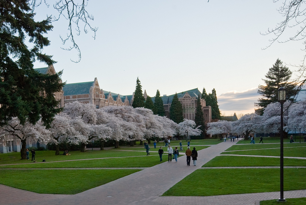 The Quad - Seattle, Washington