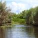 Ramsar Site - Nariva Swamp