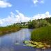 Ramsar Site - Nariva Swamp