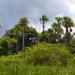 Ramsar Site - Nariva Swamp