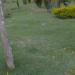 Cemitério Parque da Colina de Niterói (pt) in Niterói city