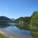 Alpsee