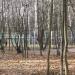 Футбольная коробка в городе Красногорск