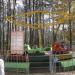 Детская карусель «Машинки» в городе Красногорск