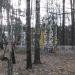 Качели в городе Красногорск