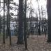 Снесенный детский сад № 33 «Лесовичок» в городе Красногорск