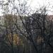 Школьная ул., 16а в городе Красногорск