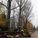 Krakow Military Cemetery