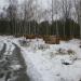 Остатки деревни Волкуша в городе Лыткарино