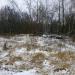 Остатки деревни Волкуша в городе Лыткарино