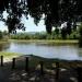 Lago do Bosque da Barra na Rio de Janeiro city