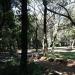 Chico Mendes - Space Park / Carlos Rossignatti . in São Caetano do Sul city