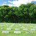 Pace of Garden Memorial Cemetery