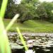 Parque Estadual dos Mananciais de Campos do Jordão