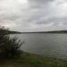 Pond
