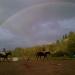 La Valle Riding School