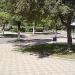 Парк в місті Шептицький
