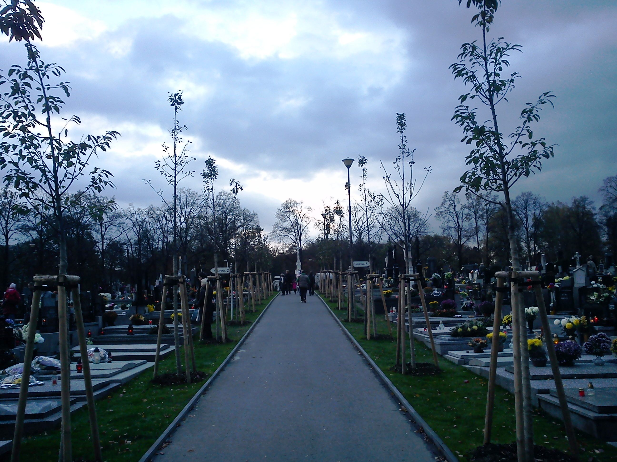 Cmentarz KarwinaMizerów Карвина